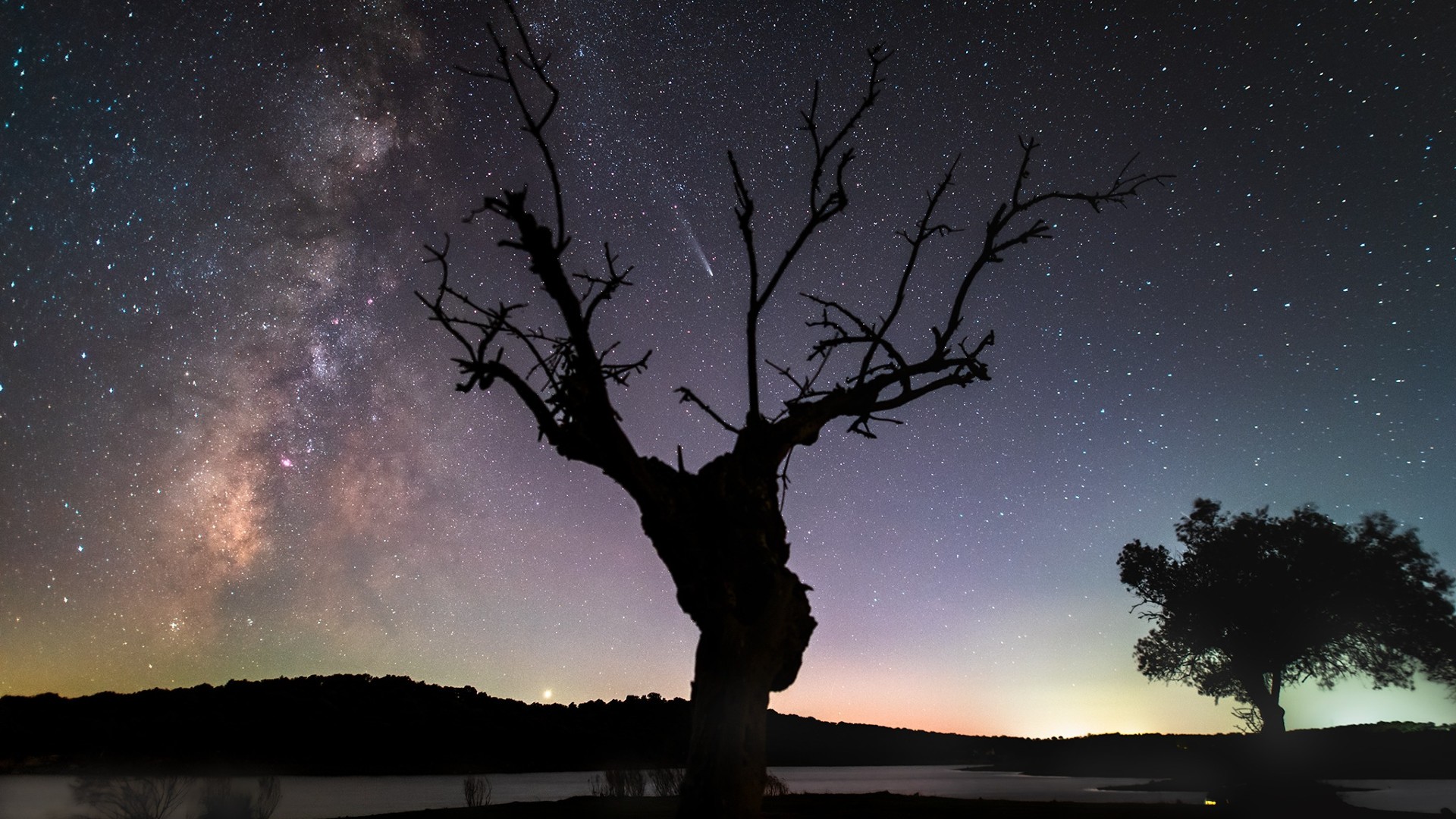 a streak of white light hangs in a starry night sky above the silhouette of a tree
