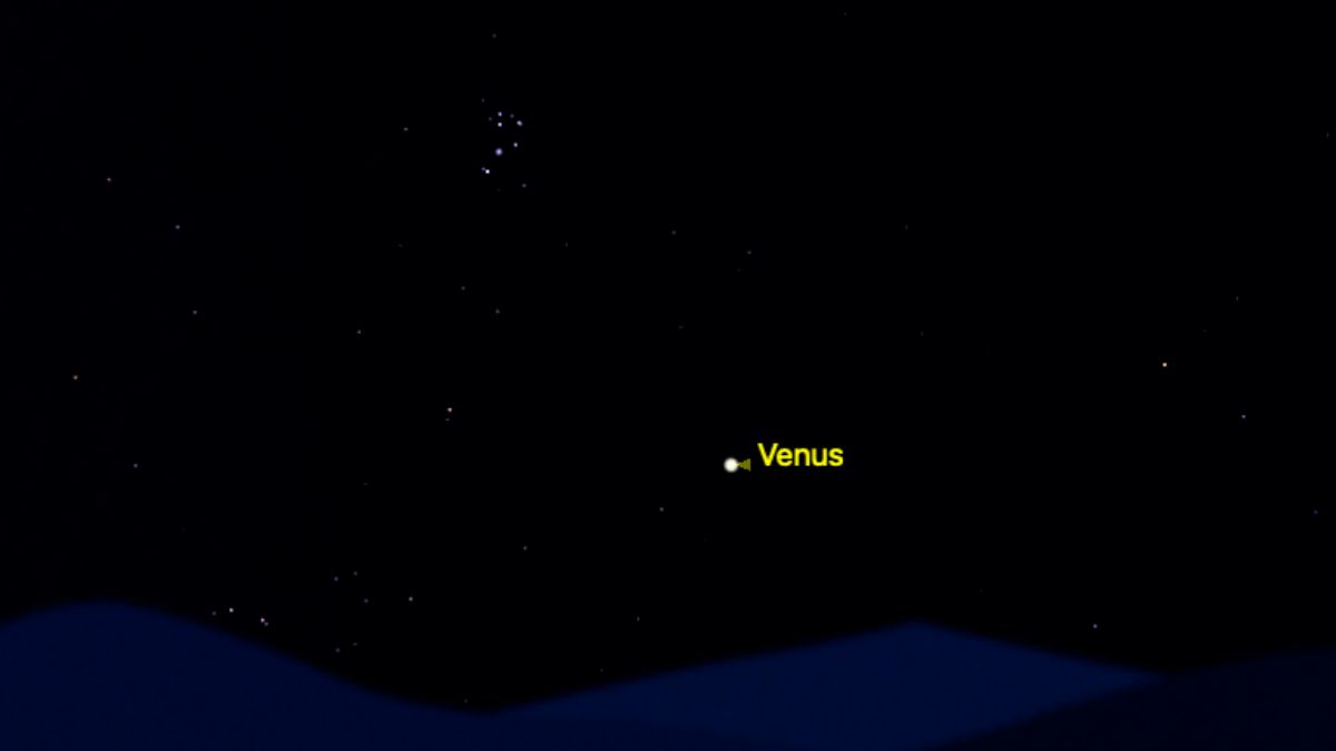 The location of Venus is shown for the night of July 5, appearing as a bright, point of light with a yellow label against a simulated night sky, with the seven prominent stars of the Pleiades open star cluster visible to its upper left.