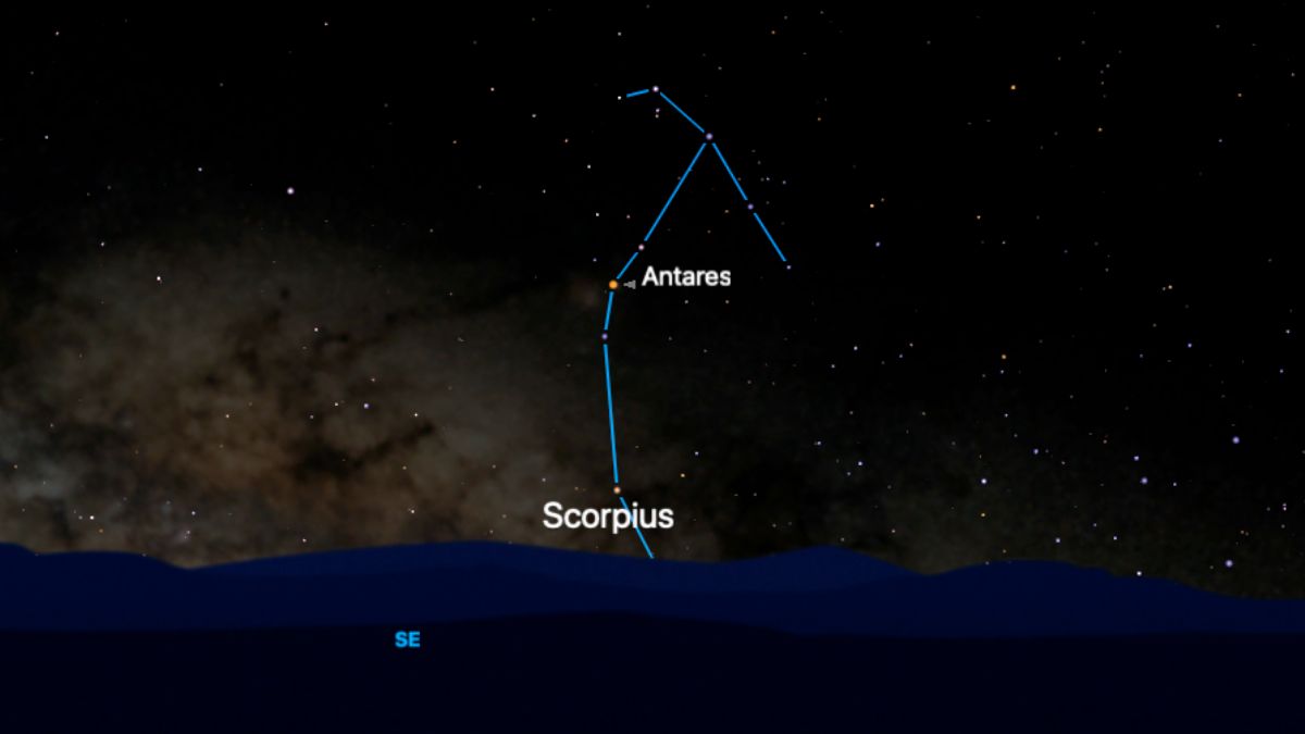 A starchart showing the locations of stars in the constellation Scorpius relative to the horizon, joined by a blue line. The position of the bright star Antares is labelled at the centre of the image.