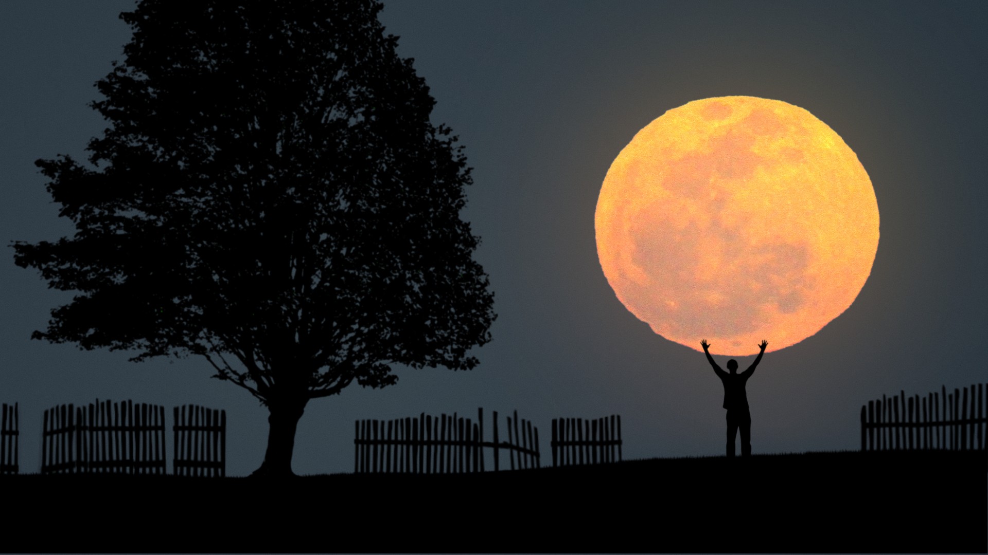 The silhouette of a person is pictured holding their arms above them, with an orange full moon positioned overhead against a night sky, making it appear as if the individual is touching the lunar disk. The person is standing on the silhouette of a hillside with fence railing to either side, and a large tree can be seen to the left of the image.