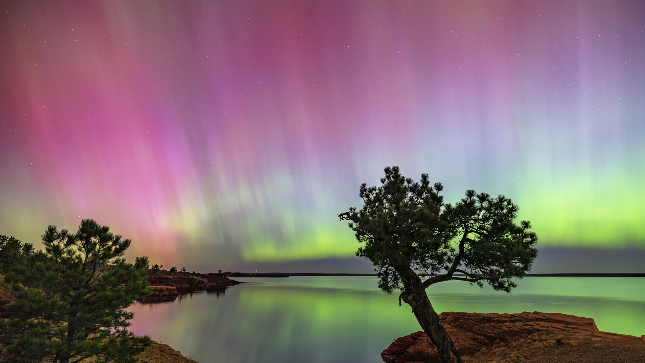 auroras appear as vast curtains for purple and green light in the sky and reflected in the water below. There are two trees silhouetted in the foreground.