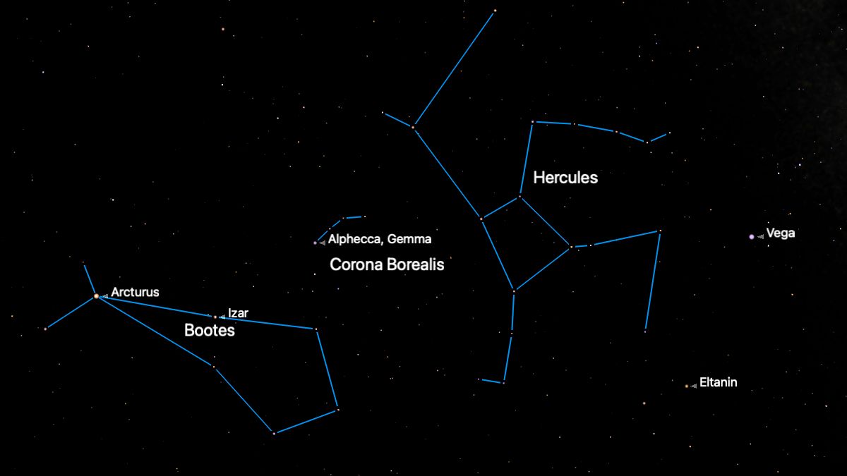 A visualization of the night sky showing the outline of the constellations of Bootes, Corona Borealis and Hercules outlined in blue. The bright star Vega can also be seen labelled to the right of the image.