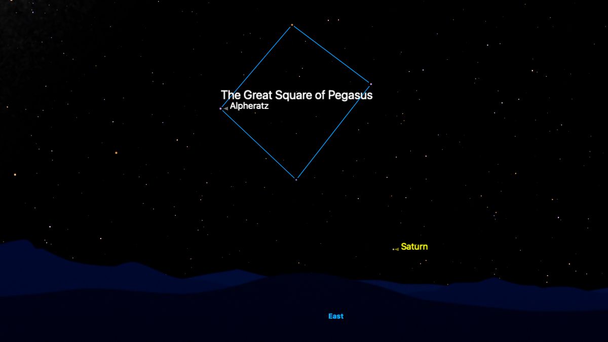 The stars of the Great Square of Pegasus asterism are shown against a simulated night sky hanging above the eastern horizon joined by a blue line. Saturn is labelled in yellow to the lower right of the asterism, close to the horizon.