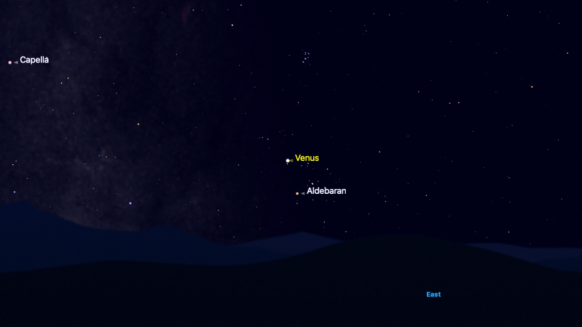 A simulation of the night sky for July 12, showing Venus close to the Eastern horizon, with the bright star Aldebaran to its lower right.