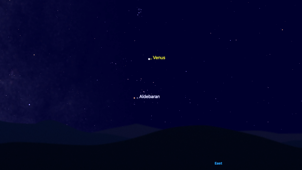 A representation of the night sky for July 8, showing Venus shining above the eastern horizon, with the bright star Aldebaran positioned below