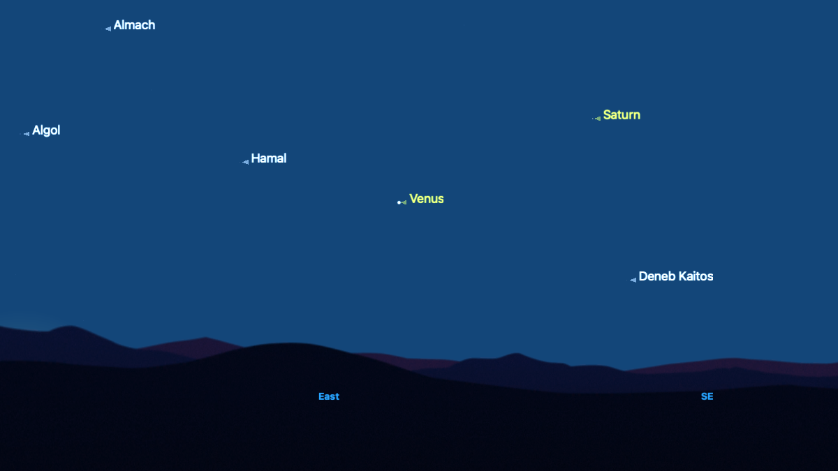 A simulation of the night sky on May 31 showing Venus above the eastern horizon with Saturn to its upper right in the northeast. The prominant stars Hamal, Algol and Almach are labelled in a triangle formation to the left of Venus, with bright Deneb Kaitos to its lower right near the horizon.