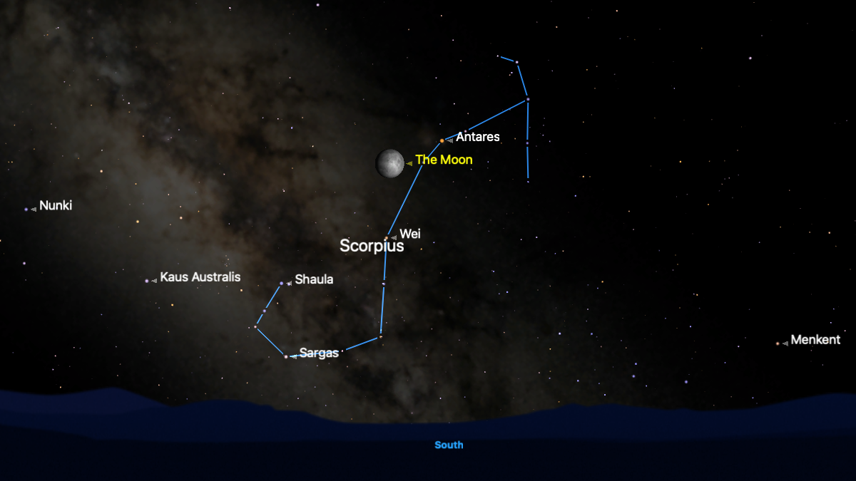 A simulation of the night sky showing the Milky Way running through the stars of the constellation Scorpius. which are connected by a blue line above the southern horizon on the night of July 7. The moon is positioned close to the lower left of the bright star Antares.