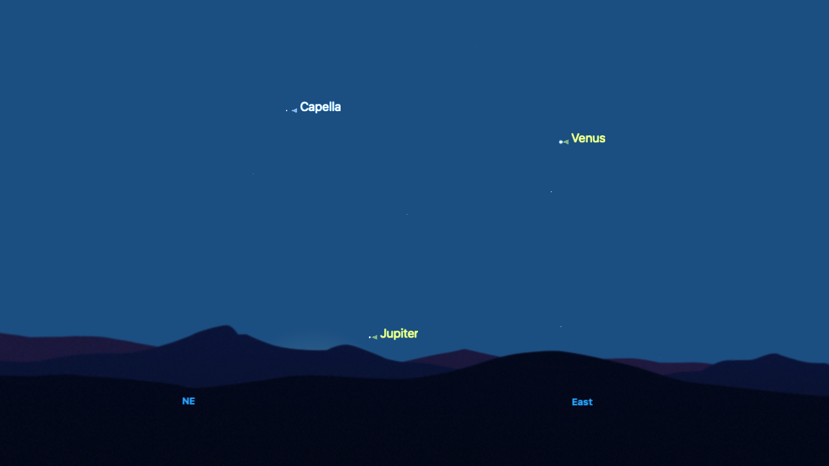 A simulation of the predawn sky showing Jupiter close to the northeastern horizon, with Venus shining to its upper right and the bright star Capella to its upper left.
